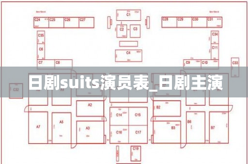 日剧suits演员表_日剧主演