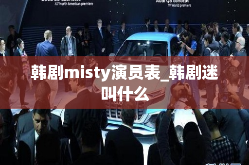 韩剧misty演员表_韩剧迷叫什么