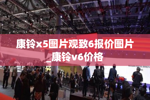 康铃x5图片观致6报价图片_康铃v6价格