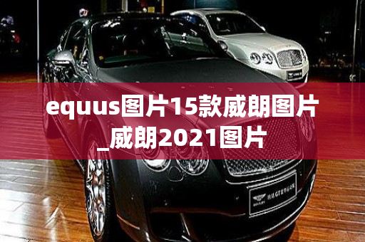 equus图片15款威朗图片_威朗2021图片