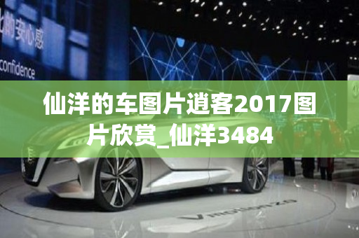 仙洋的车图片逍客2017图片欣赏_仙洋3484