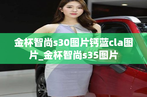 金杯智尚s30图片钙蓝cla图片_金杯智尚s35图片