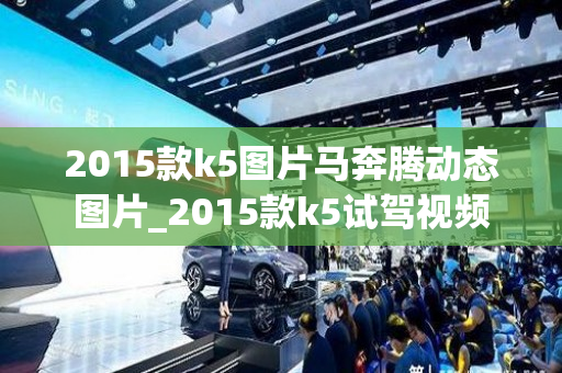 2015款k5图片马奔腾动态图片_2015款k5试驾视频