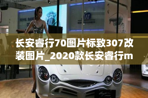 长安睿行70图片标致307改装图片_2020款长安睿行m70