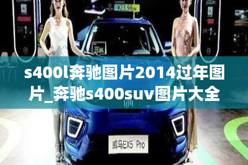 s400l奔驰图片2014过年图片_奔驰s400suv图片大全