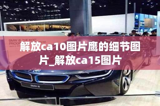 解放ca10图片鹰的细节图片_解放ca15图片