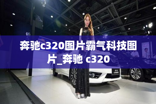 奔驰c320图片霸气科技图片_奔驰 c320