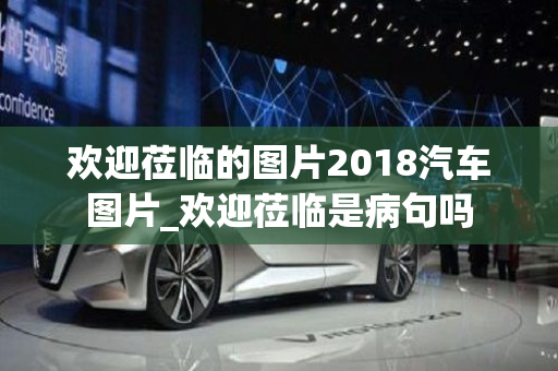 欢迎莅临的图片2018汽车图片_欢迎莅临是病句吗