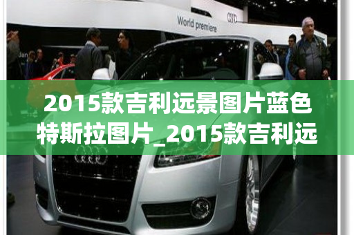 2015款吉利远景图片蓝色特斯拉图片_2015款吉利远景质量怎么样