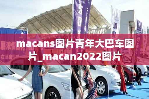 macans图片青年大巴车图片_macan2022图片