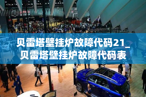 贝雷塔壁挂炉故障代码21_贝雷塔壁挂炉故障代码表