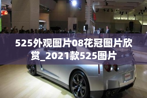 525外观图片08花冠图片欣赏_2021款525图片