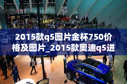 2015款q5图片金杯750价格及图片_2015款奥迪q5进取型怎么样