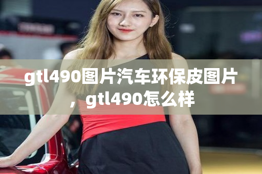 gtl490图片汽车环保皮图片，gtl490怎么样