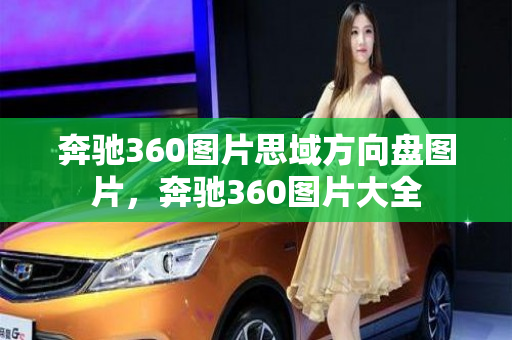 奔驰360图片思域方向盘图片，奔驰360图片大全