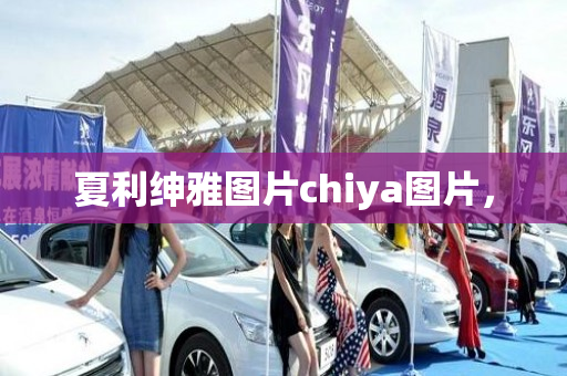 夏利绅雅图片chiya图片，