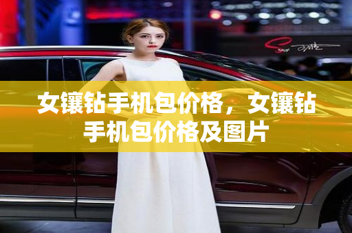 女镶钻手机包价格，女镶钻手机包价格及图片