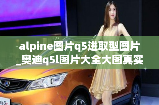 alpine图片q5进取型图片_奥迪q5l图片大全大图真实