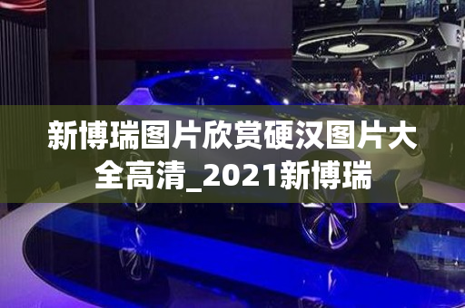 新博瑞图片欣赏硬汉图片大全高清_2021新博瑞