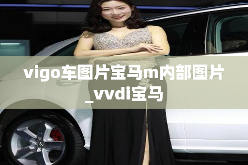 vigo车图片宝马m内部图片_vvdi宝马