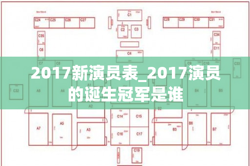 2017新演员表_2017演员的诞生冠军是谁