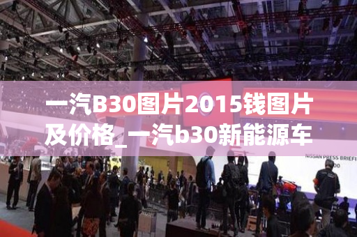 一汽B30图片2015钱图片及价格_一汽b30新能源车报价